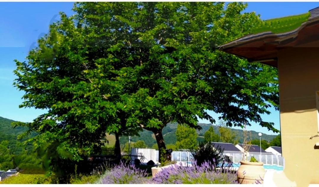 La Marmotte Tranquille Holiday home Saint-Geniez-d'Olt